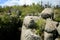 Rock formations in Szczeliniec Wielki in the Stolowe Mountains, the Sudeten range in Poland.