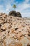 Rock formations of Tambaba beach