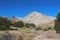 Rock formations and vegetation at Plaza Blanca near Abiquiu, New Mexico