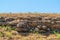 Rock fragments on mountain peak