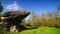 Rock of frog, near Cisnadioara, Sibiu county, Romania