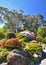 The Rock Garden at Christchurch Botanical Gardens