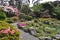 The Rock Garden at Christchurch Botanical Gardens