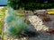 Rock garden detail with smooth river stone and silver green decorative tall grass