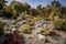 rock garden with drought-tolerant and native plants