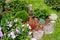 Rock garden flowerbed with red thunberg barberry, thuja danica aurea, blue star juniper, astilbe, lilac petunia, Festuca and other