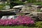 Rock garden with flowering perennials