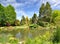 Rock Garden view at Christchurch Botanical Gardens