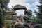 Rock Gate in the nature reserve Broumov Walls