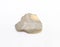 Rock, Gray, Brownish, Odd shape, White background