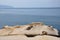 A rock having a shape of Fairy Shoe in Yehliu Geopark in a cape in Wanli District, New Taipei, Taiwan