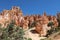 Rock Hoodoos in Bryce Canyon National Park in Utah