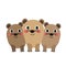 Rock Hyrax family animal cartoon character vector illustration