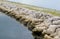 Rock Jetty and Nature Preserve