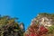 Rock Kakuenbou, a massive rocky mountain. Symbol of Mitake Shosenkyo Gorge