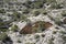 Rock landscape of Caminito del Rey in Andalusia, Spain