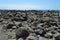 Rock Landscape at Morro Bay California