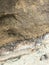 Rock layer transitions on the cliffs at Torrey Pines State Natural Reserve