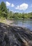 Rock layers and mixed forest at the Oxtongue River in Ontario