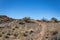 Rock lined path up over a ridge, New Mexico desert with grasses and brush, blue sky copy space