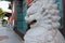 The Rock Lion in front of Chinese Temple