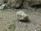 a rock lying on the badlands