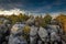 Rock massif with green trees and cloudy blue sky on the top of Table mountains