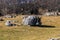 Rock monoliths in the park on a sunny day