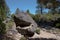 Rock-monster of Lake Tahoe`s Rubicon Trail