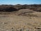 Rock mountain texture lining landscape background of Namib desert unique geography with splitting stone ground and desert plant