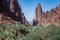 Rock and oasis scenes in Wadi Disah in Tabuk Region, Saudi Arabia