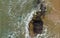 Rock in the ocean, with a beach and sand. Top view, waves, natural texture