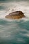 Rock in ocean enveloped by waves in long exposure