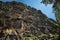 Rock outcrops in the Krasnoyarsk Stolby Reserve.