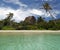 Rock , palm-trees on tropical paradice beach.