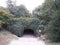 Rock passage in Central Park covered by green leeves