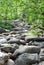 Rock path smoky mountains