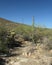 Rock pathway through a desert in southern Arizona