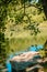 Rock perch by the lake framed by tree branches at Blue Spruce Park in Pennsylvania