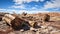 rock petrified forest ancient