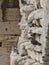 Rock pigeons perched on the stone wall of the ancient Roman amphitheatre in Arles, France