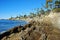 Rock Pile Beach below Heisler Park, Laguna Beach, California