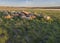 Rock Pile on the Prairie Grasslands