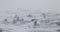 Rock pillars on Severnaya Zemlya in Arctic