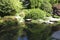 Rock, pond, carp fish in Kubota garden