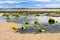 Rock pool on the beach at Low Newton in Northumberland