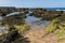 Rock pools on a seashore in Scotland