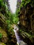 Rock revine near KamieÅ„czyk`s Waterfall located in Poland, in Sudetes mountains.