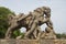Rock sculpture of horse crushing a soldier during war at Sun Temple, Konark, Orissa, India