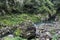 Rock, shimenawa rope, and river around Takachiho Gorge